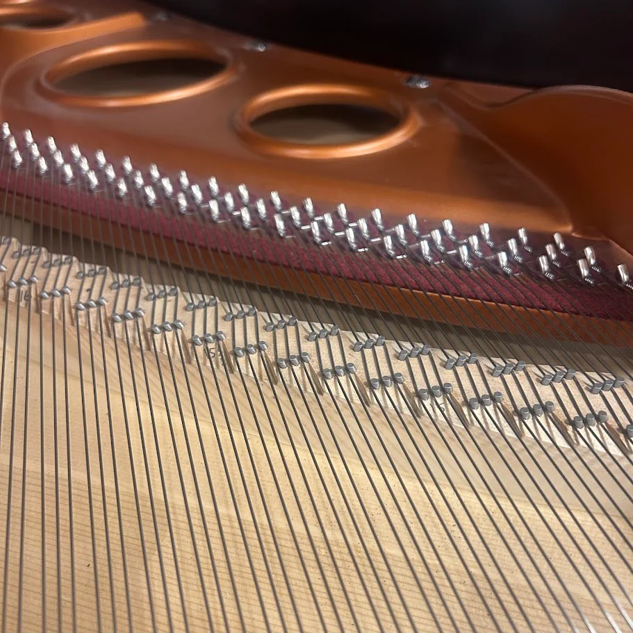 Bosendorfer Model 170 Grand Piano in Polished Ebony: Serial No: 25024 | Reconditioned - Image 12