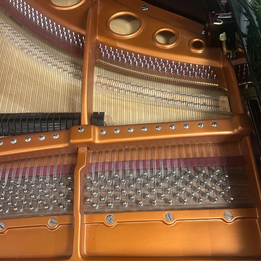 Bosendorfer Model 170 Grand Piano in Polished Ebony: Serial No: 25024 | Reconditioned - Image 4