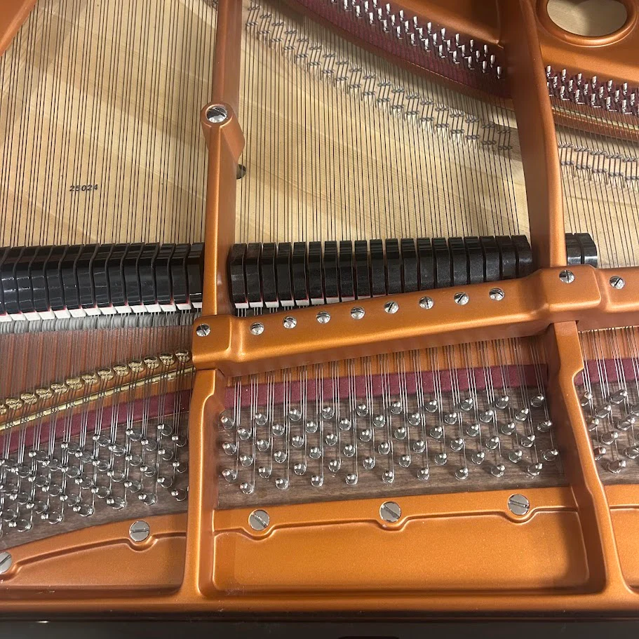 Bosendorfer Model 170 Grand Piano in Polished Ebony: Serial No: 25024 | Reconditioned - Image 5