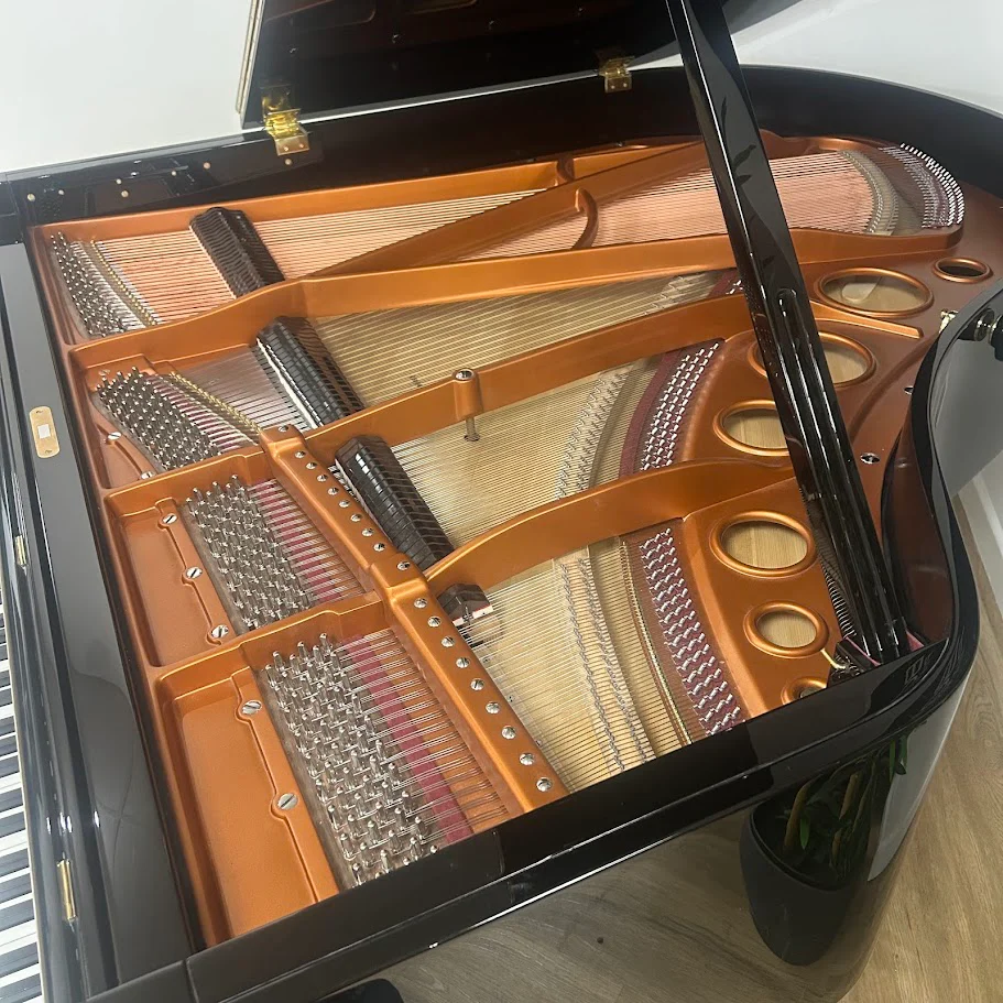 Bosendorfer Model 170 Grand Piano in Polished Ebony: Serial No: 25024 | Reconditioned - Image 9