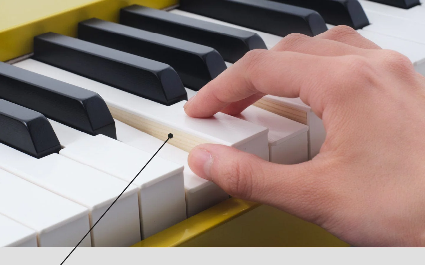 Casio PX-S6000 Digital Piano; Home Package - Image 3