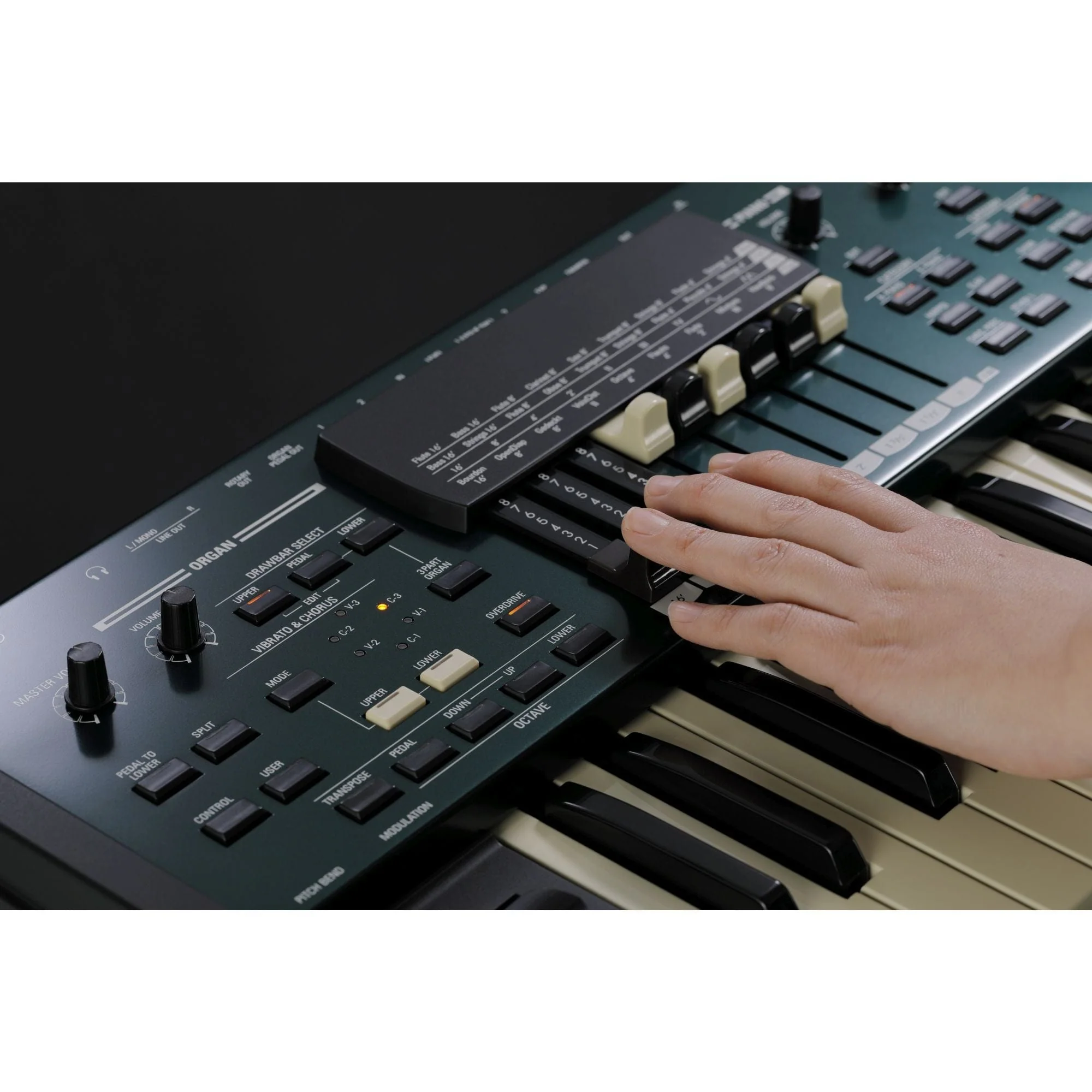 Hammond SK PRO 73 Note Stage Keyboard - Image 12