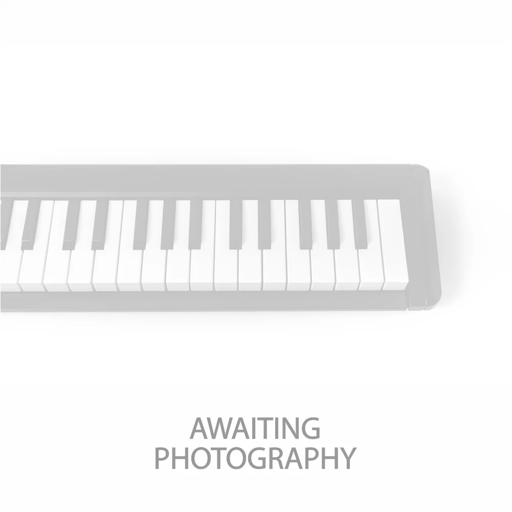 Hammond SK2 Dual Organ Keyboard, Inc Hammond soft case; Serial No: 11080390 | Second Hand
