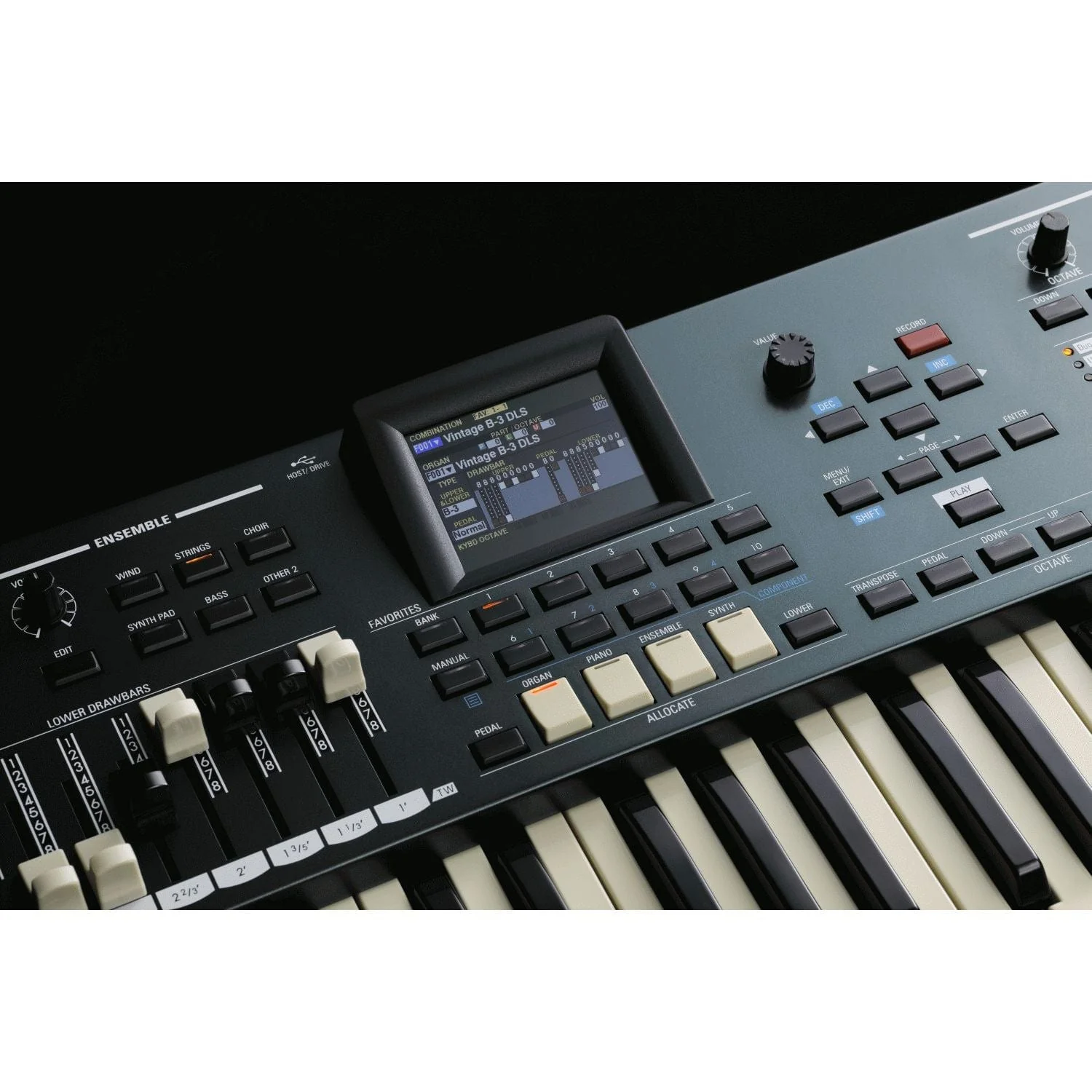 Hammond SKX Pro 61-Key Dual Manual Keyboard - Image 10
