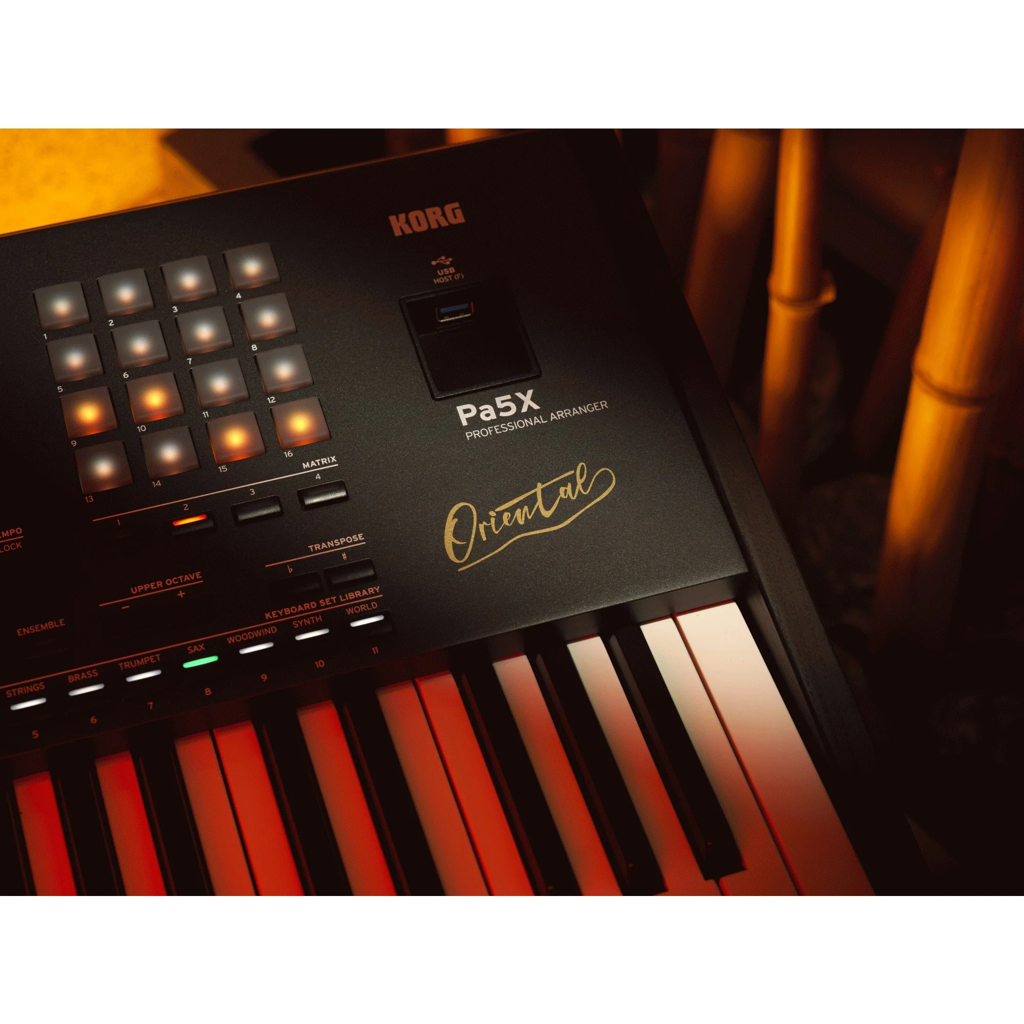 Korg Pa5X Oriental 61 Key Professional Arranger Keyboard - Image 7