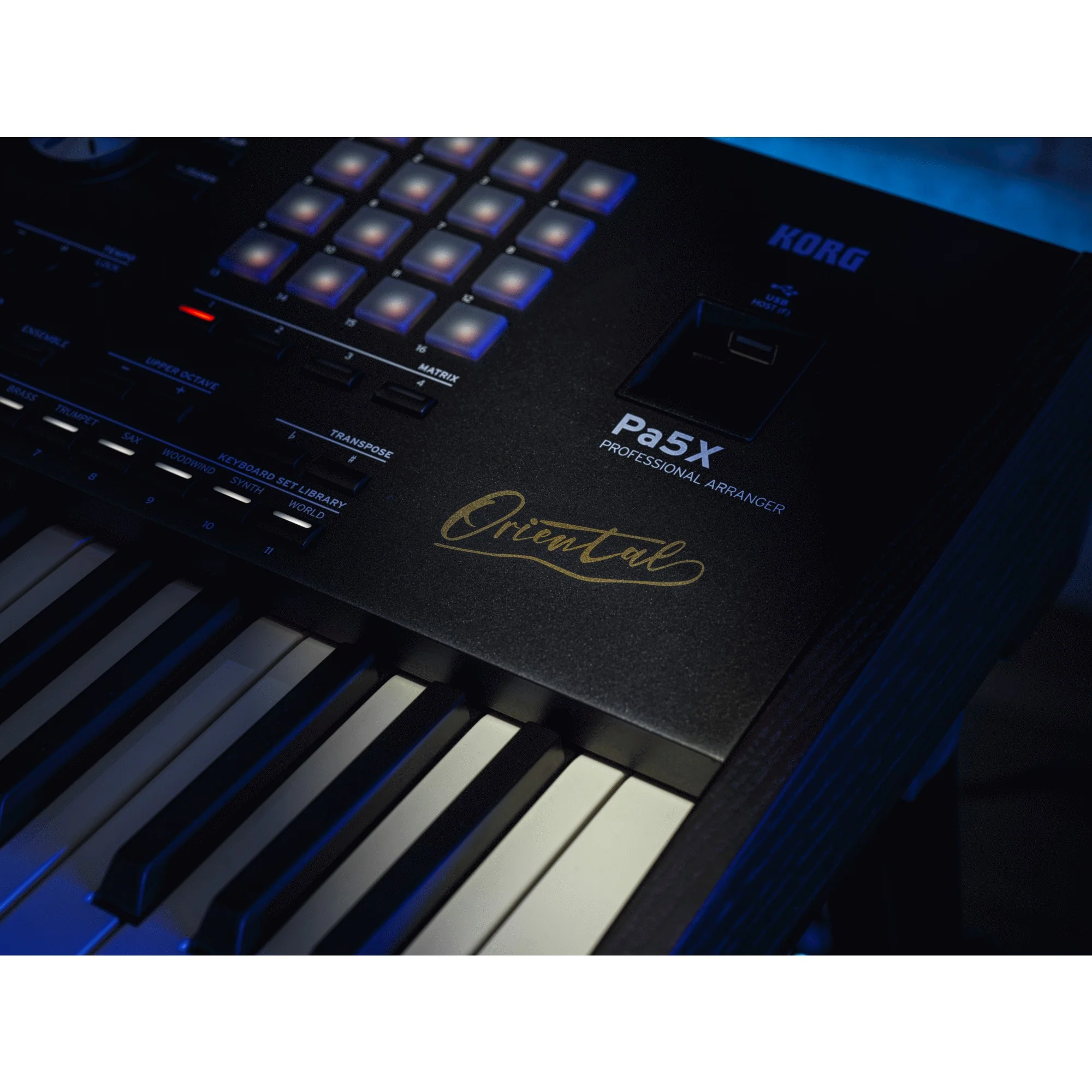 Korg Pa5X Oriental 61 Key Professional Arranger Keyboard - Image 8