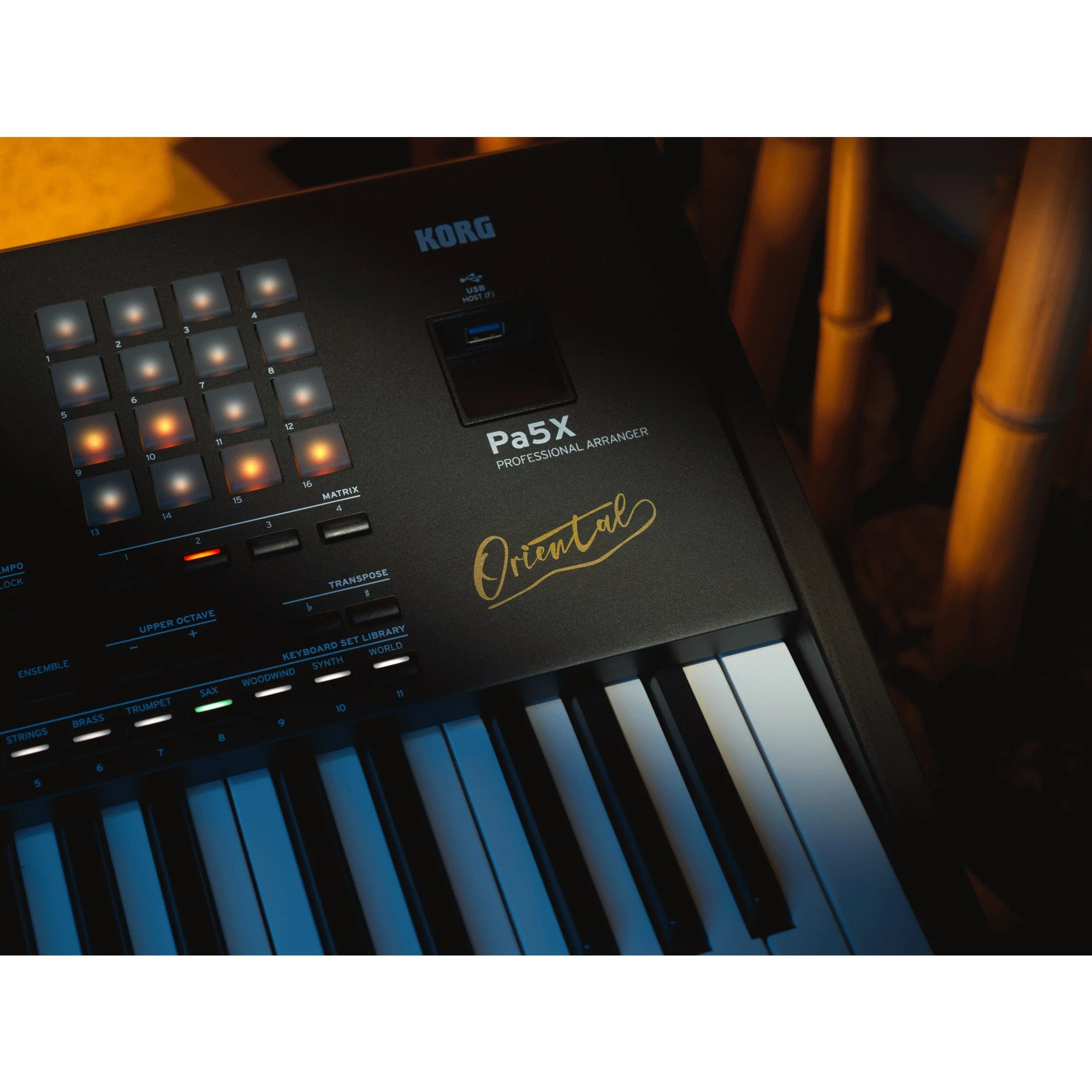 Korg Pa5X Oriental 61 Key Professional Arranger Keyboard - Image 9