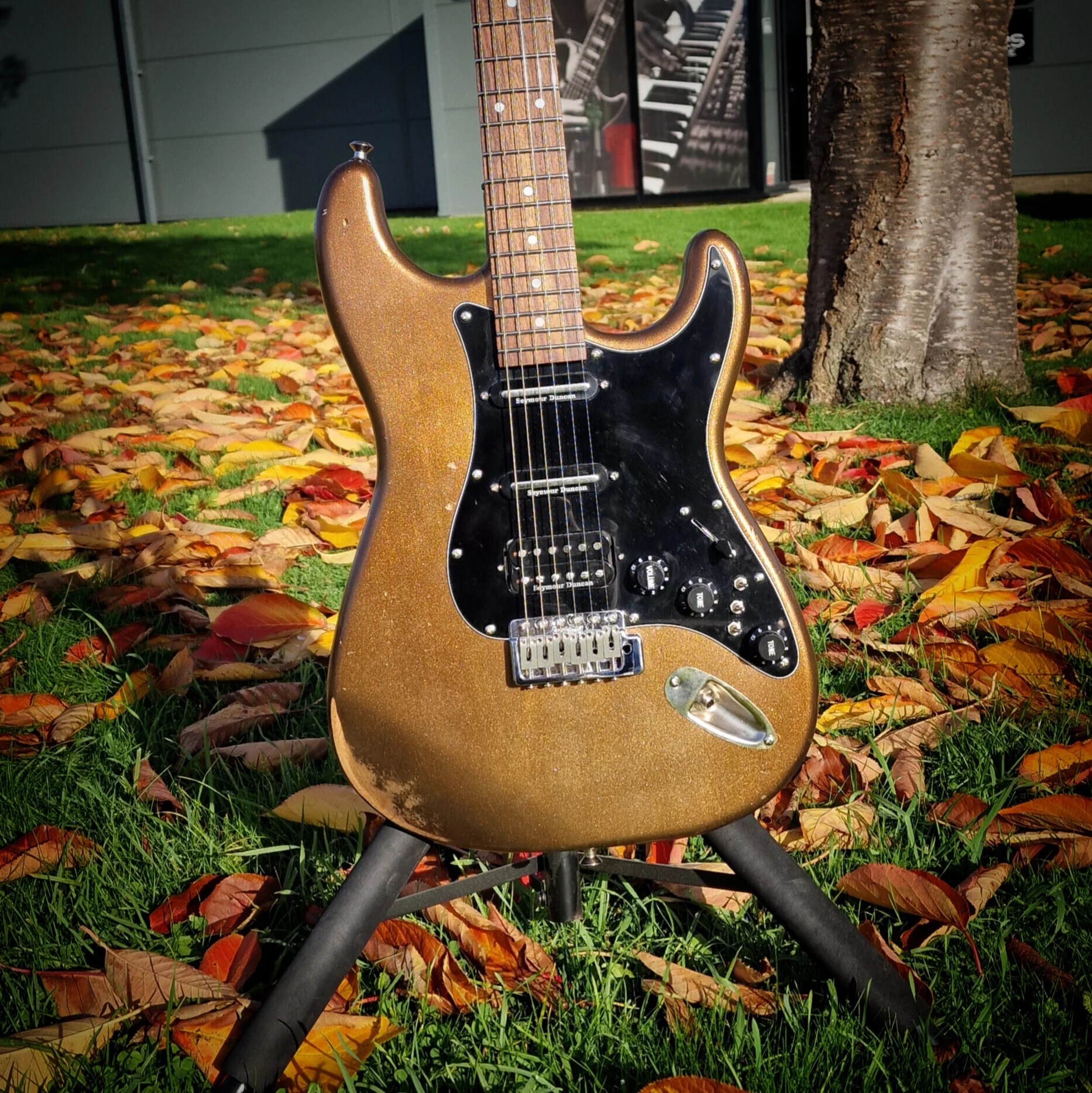 Moore Guitars Genesis; Mocha Copper #006