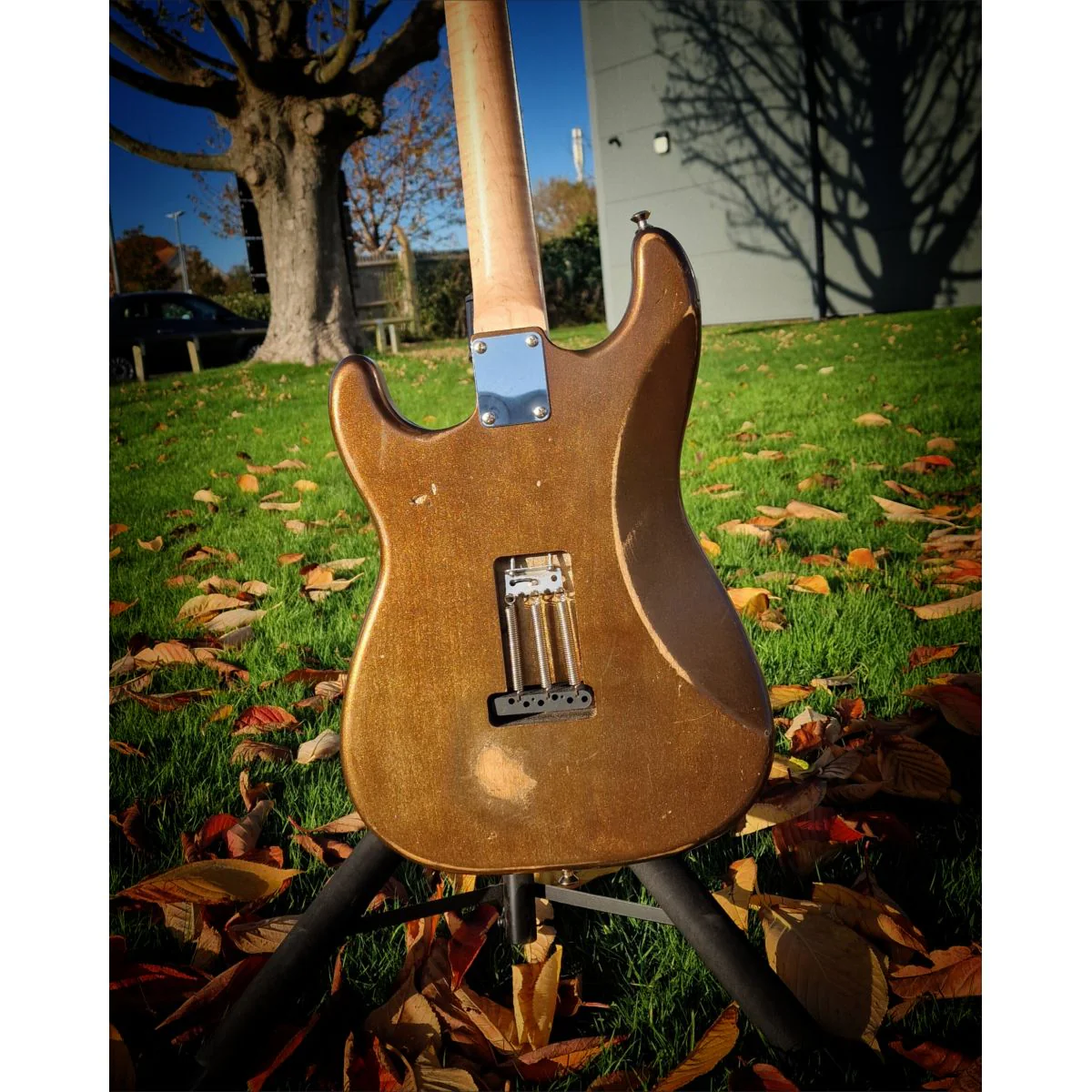 Moore Guitars Genesis; Mocha Copper #006 - Image 3