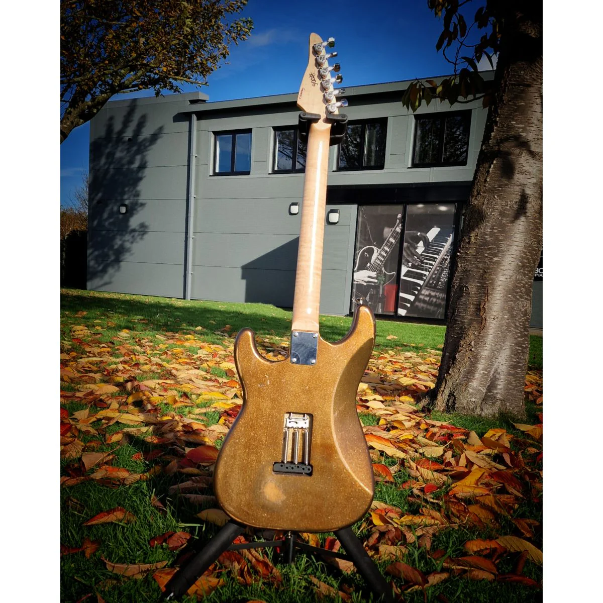 Moore Guitars Genesis; Mocha Copper #006 - Image 4