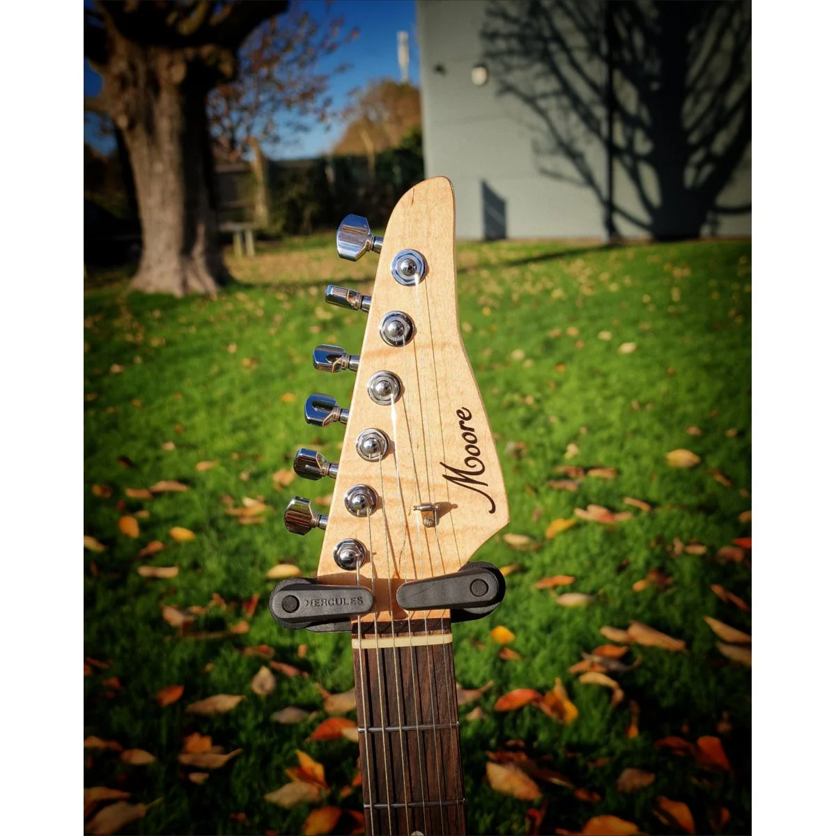 Moore Guitars Genesis; Mocha Copper #006 - Image 5
