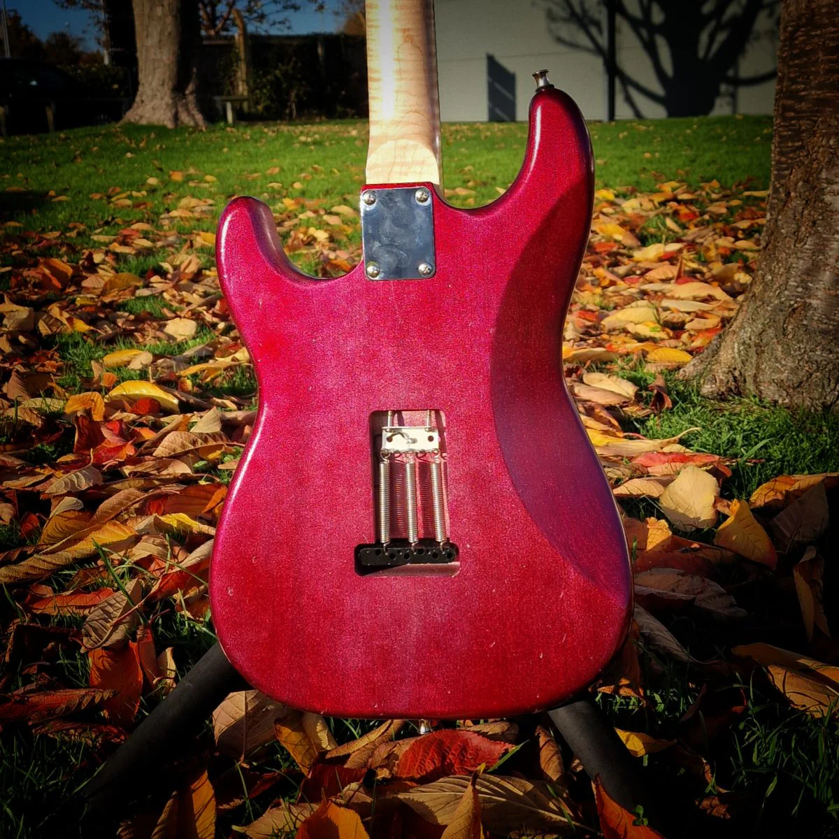 Moore Guitars Samuel; Pink Wood #011 - Image 6
