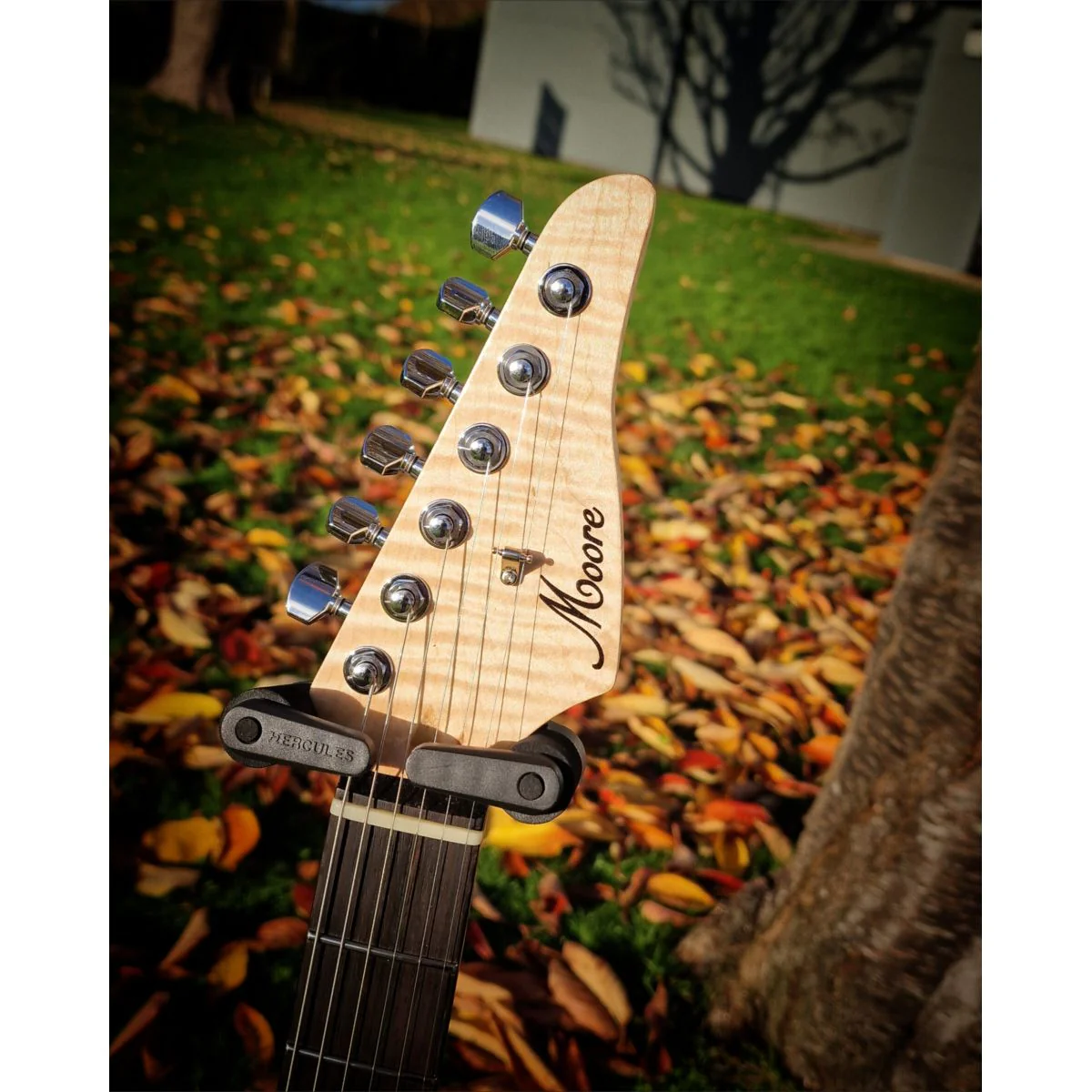 Moore Guitars Samuel; Pink Wood #011 - Image 7