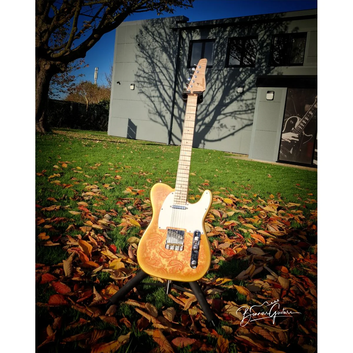 Moore Guitars Timothy; Pink/Gold Paisley #013 - Image 6