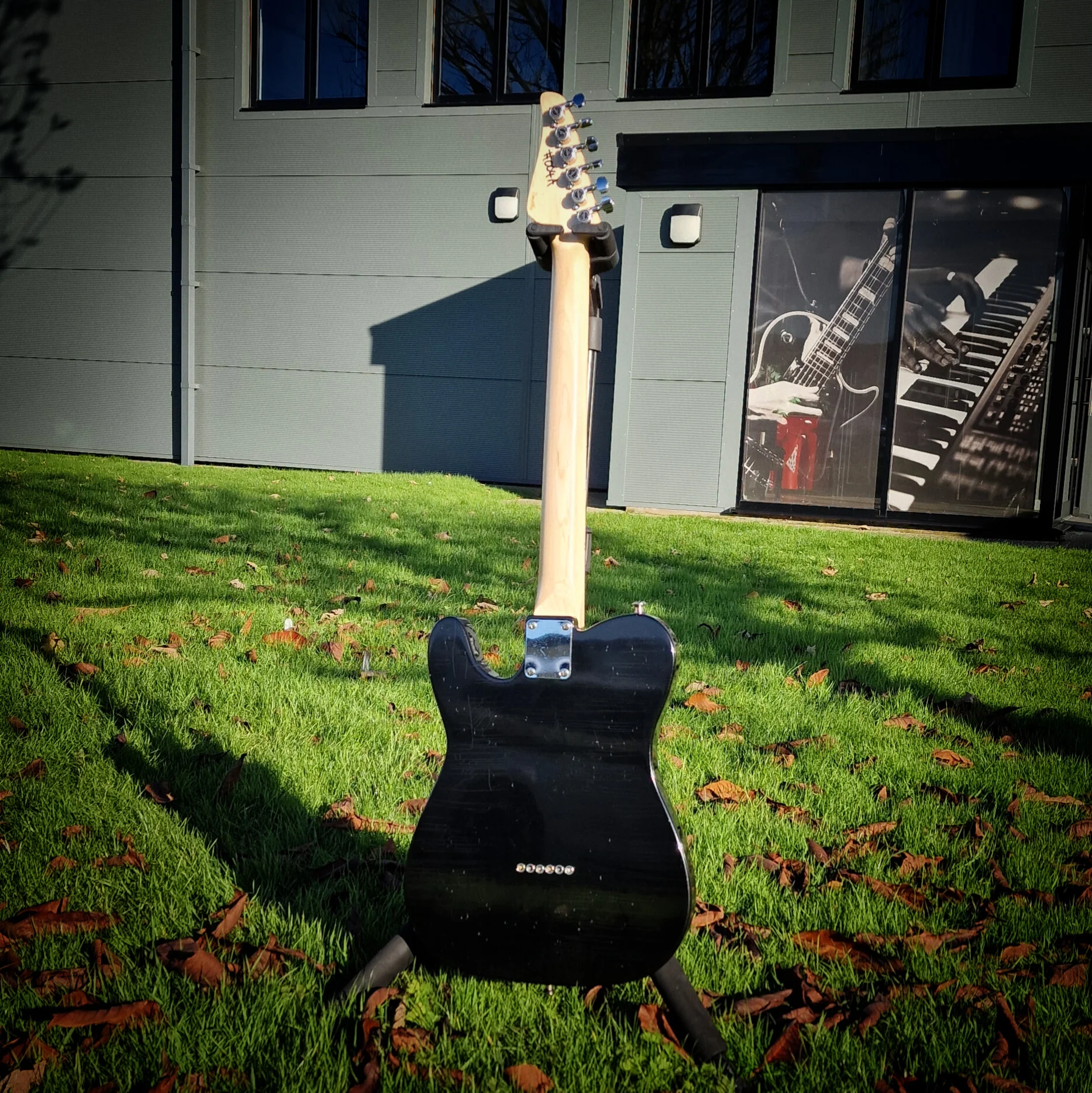 Moore Guitars Timothy Thinline; Black #004A - Image 6