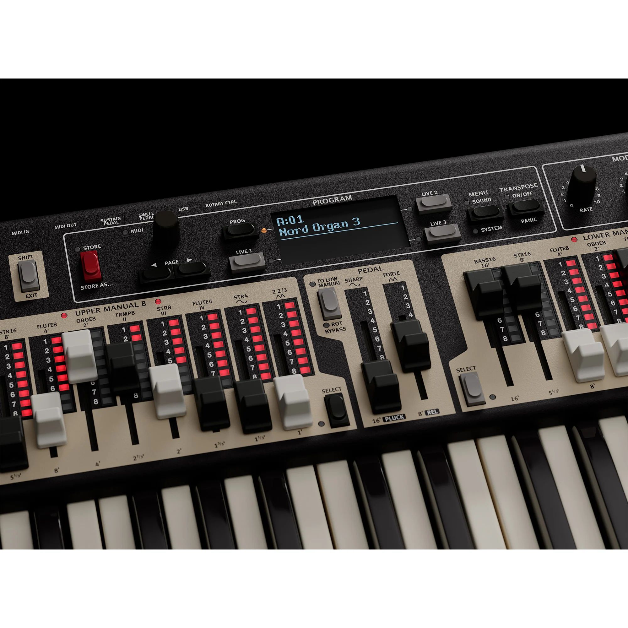 Nord Organ 3 - Image 5