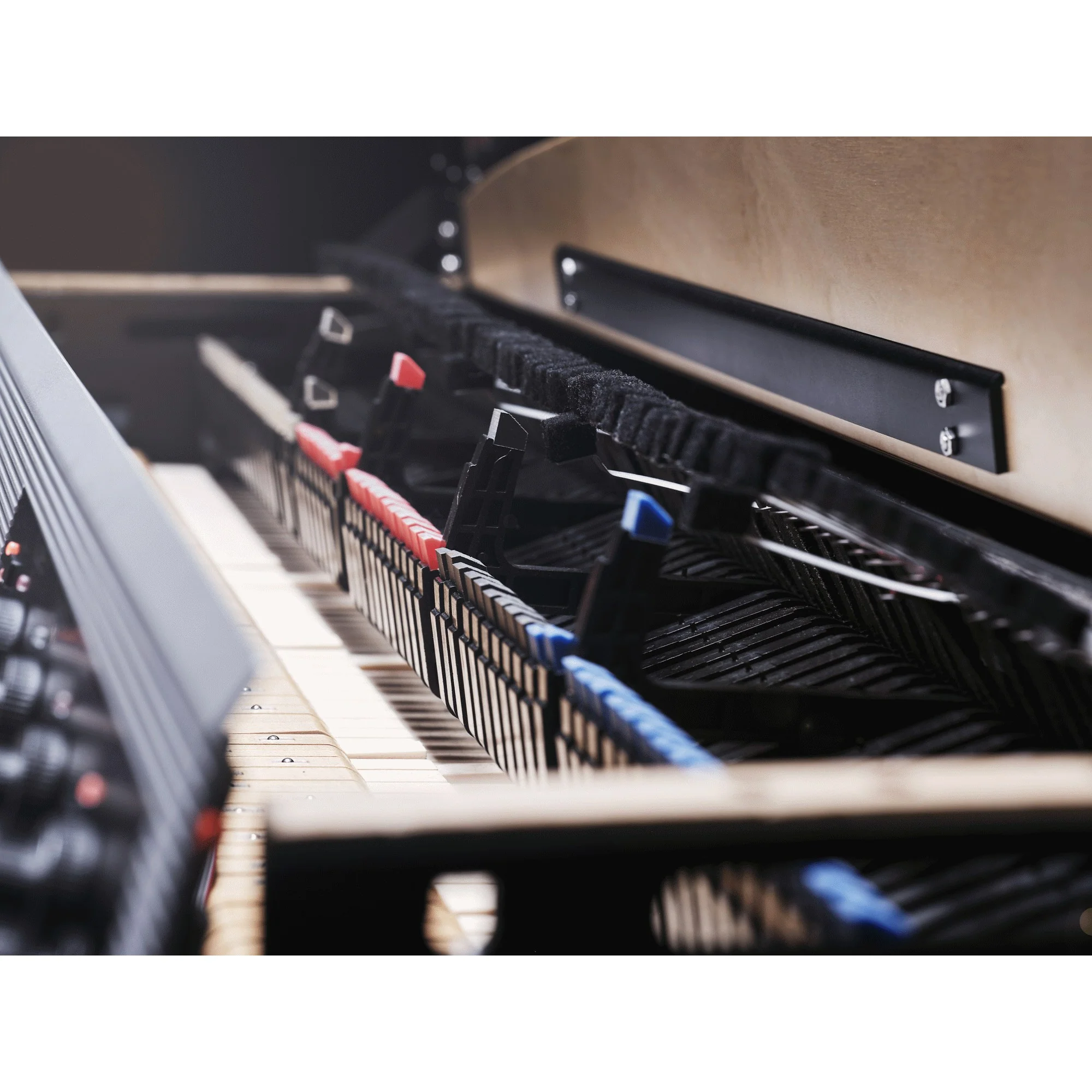 Rhodes MK8 Classic Electric Piano Incl Stand - Image 14