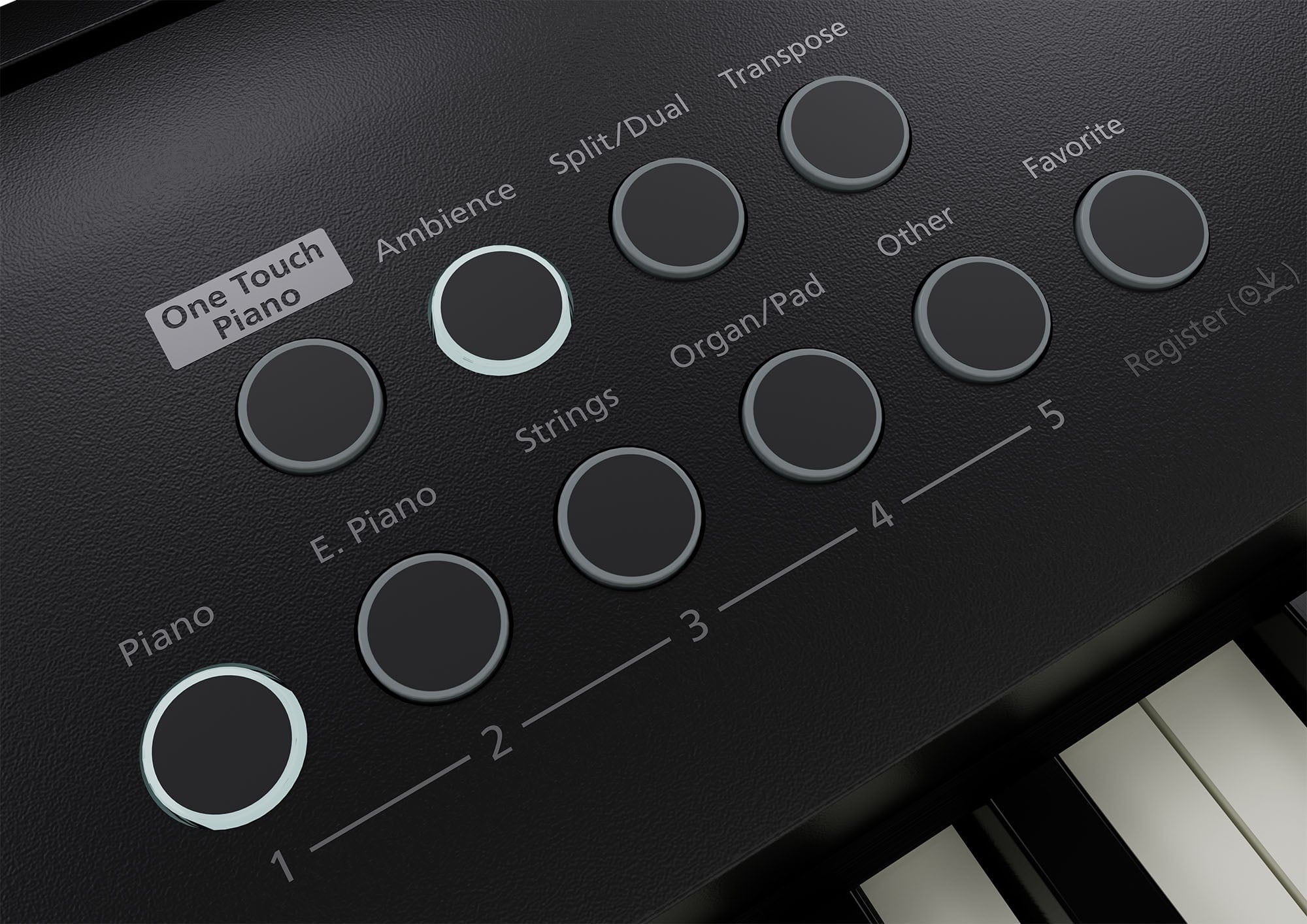 Roland FP-E50 Digital Piano Upgraded Package; Black - Image 7