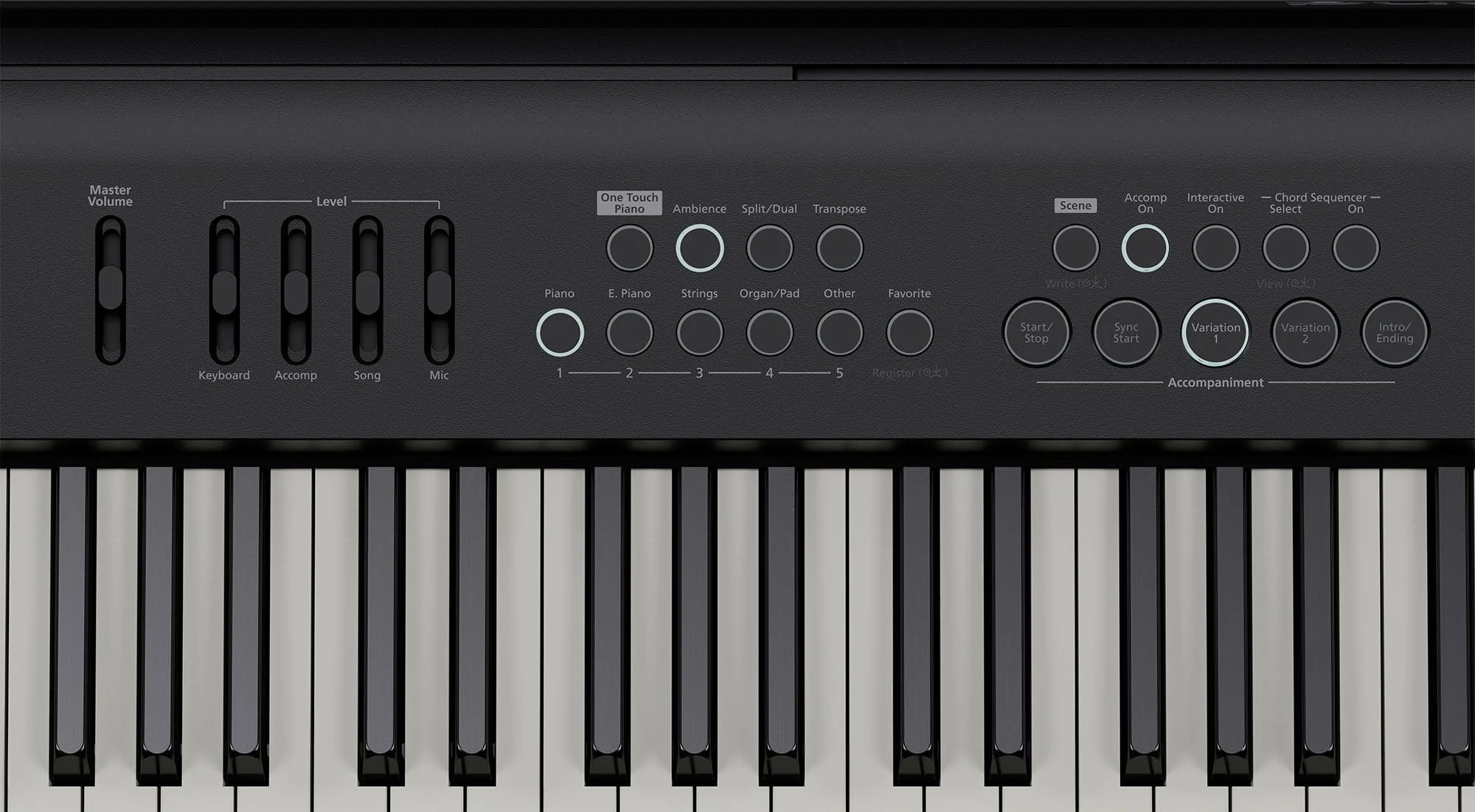 Roland FP-E50 Digital Piano Value Package; Black - Image 7