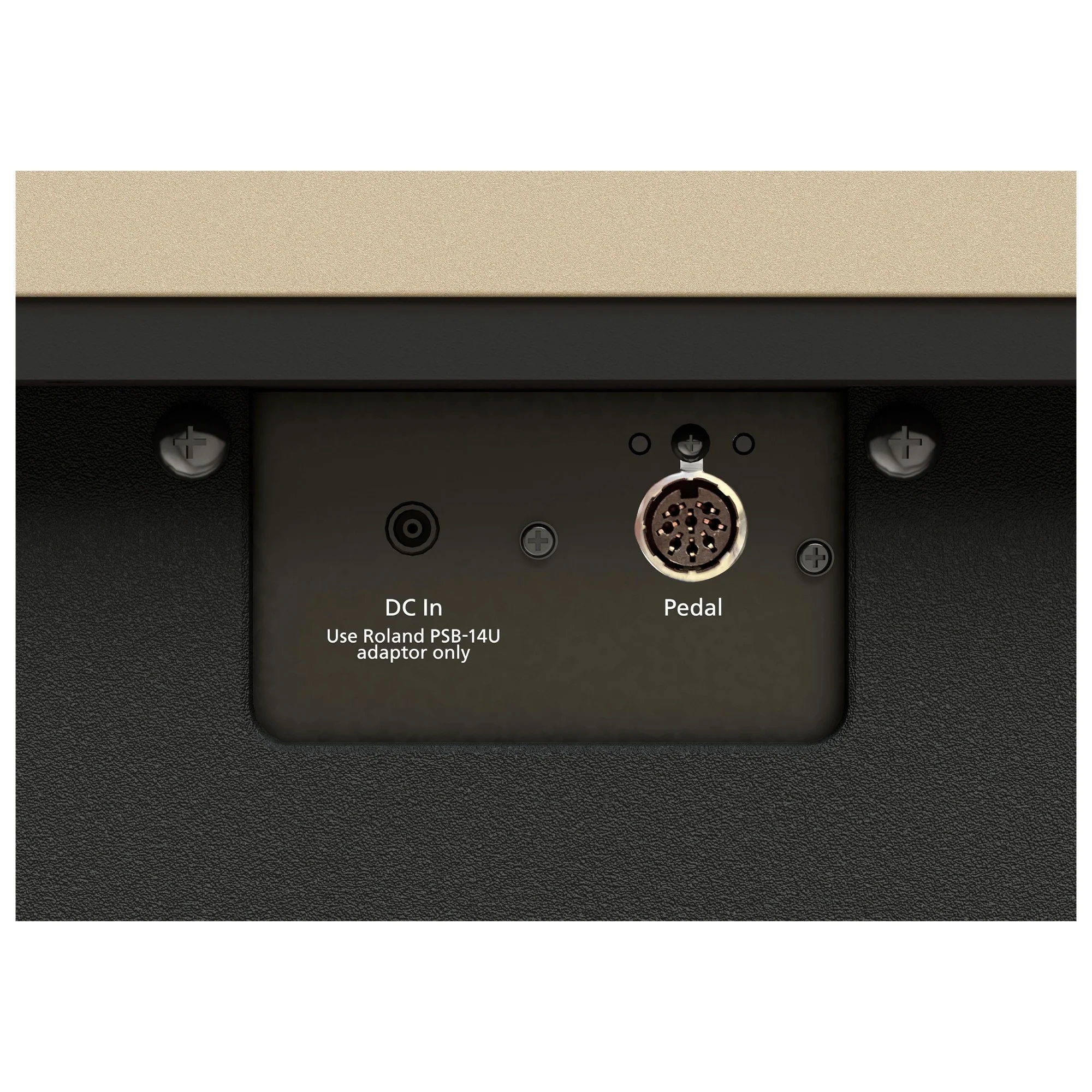 Roland Kiyola KF-20 Pure Oak | Premium Bundle Incl RH300 Headphones & Bench - Image 15
