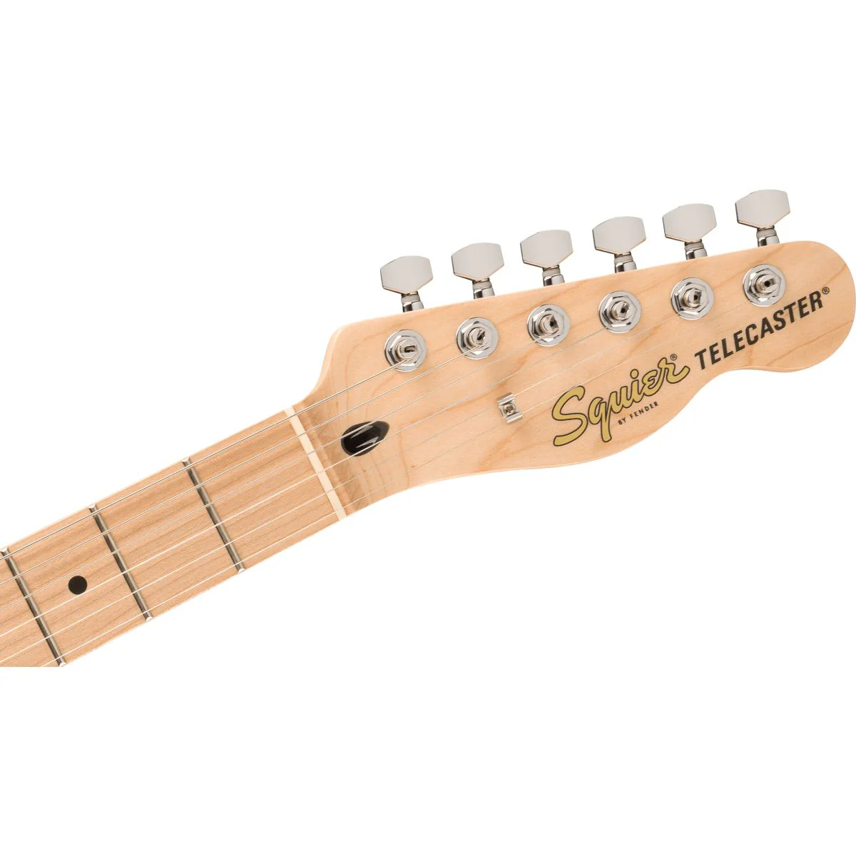 Squier Affinity Series Telecaster FMT SH; Mocha - Image 6