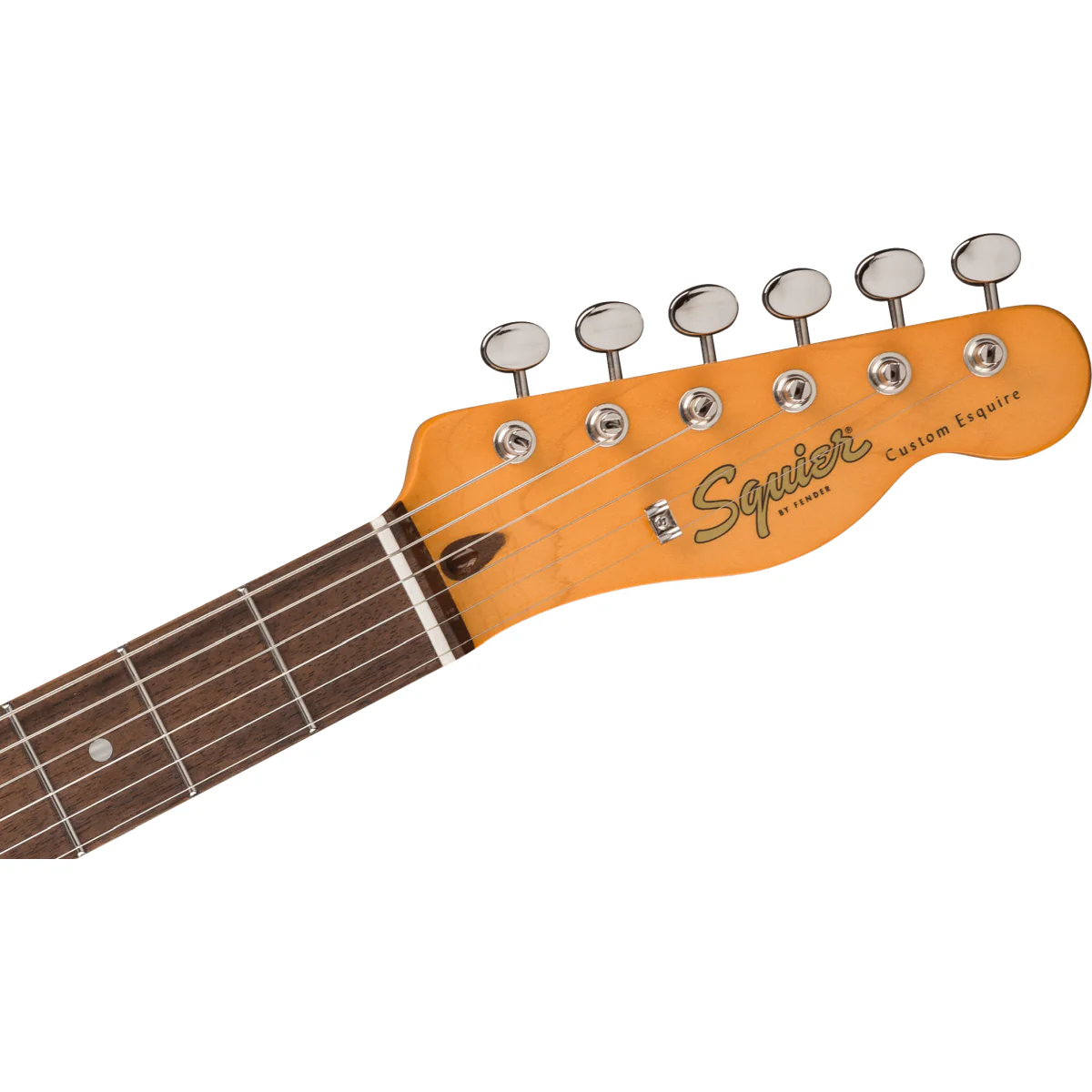 Squier Classic Vibe Custom Esquire; Laurel Fingerboard, Parchment Pickguard, Sherwood Green - Image 3
