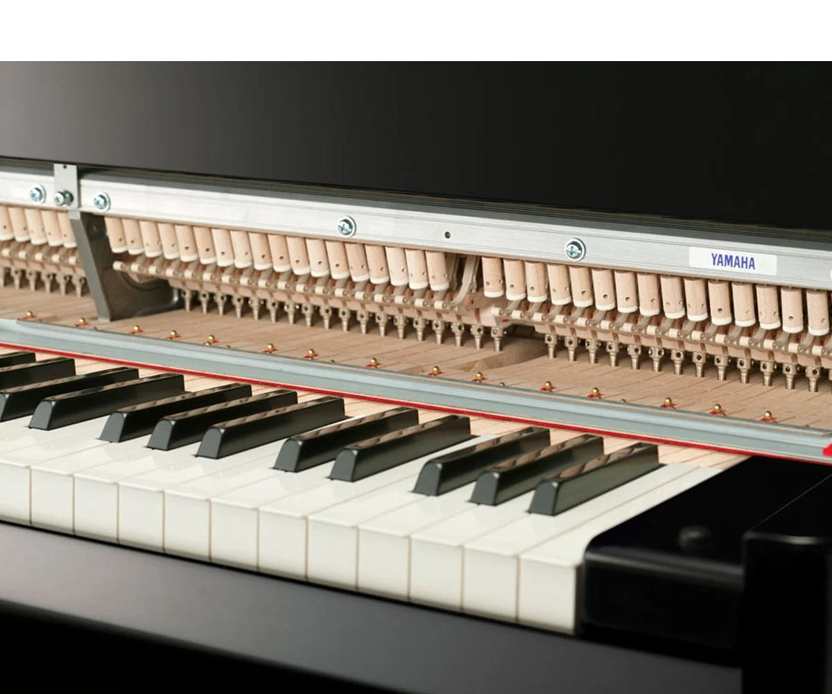 Yamaha N3x Branded Accessories Package - Image 6