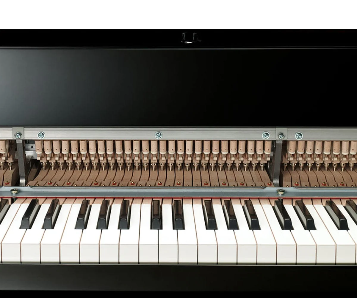 Yamaha N3x Branded Accessories Package - Image 7